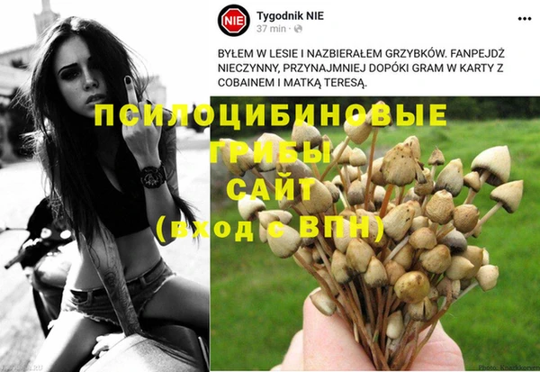 экстази Алзамай