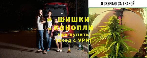 трава Арсеньев