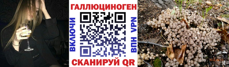blacksprut онион  Бавлы  Псилоцибиновые грибы Psilocybe 